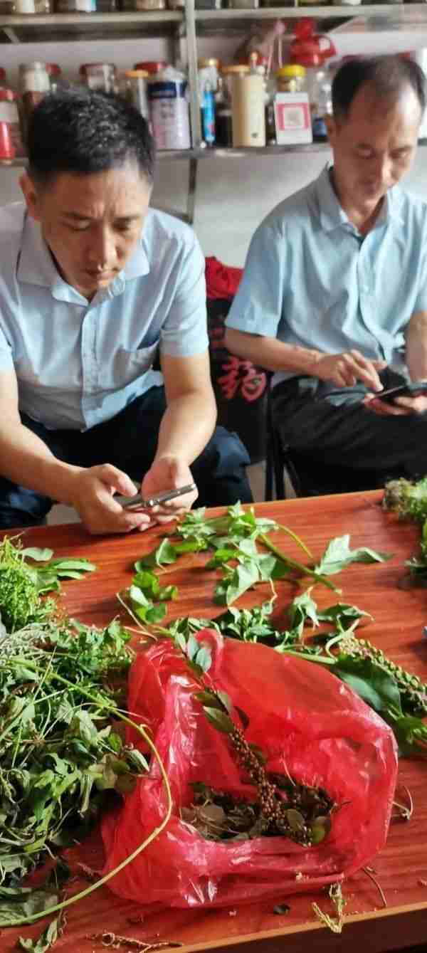 国宝级中医——吴训明